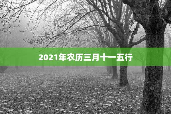 2021年农历三月十一五行