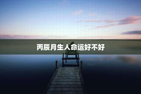 丙辰月生人命运好不好