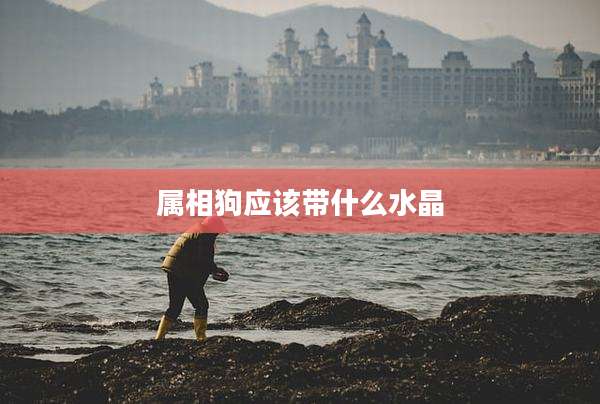 属相狗应该带什么水晶