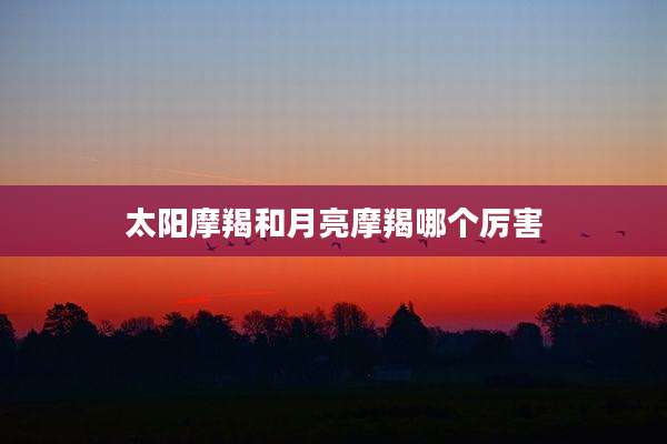 太阳摩羯和月亮摩羯哪个厉害