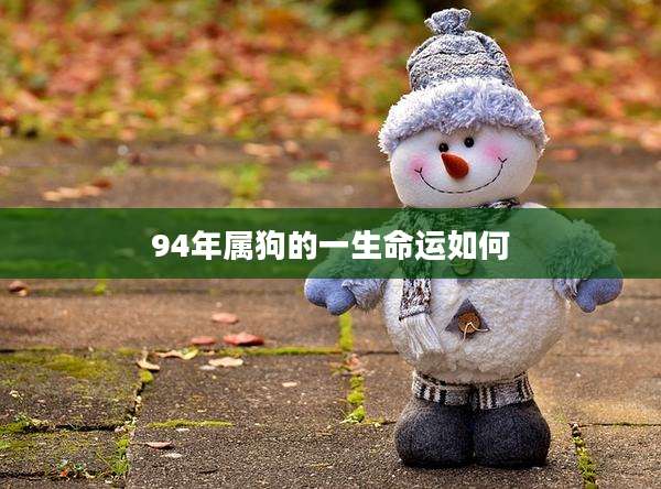 94年属狗的一生命运如何