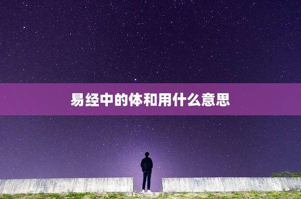 易经中的体和用什么意思
