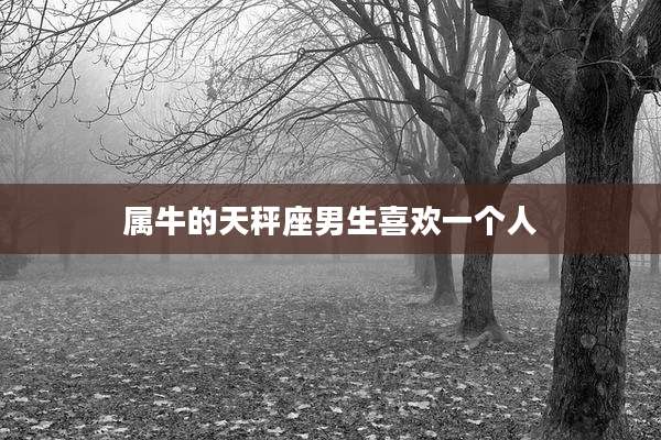 属牛的天秤座男生喜欢一个人