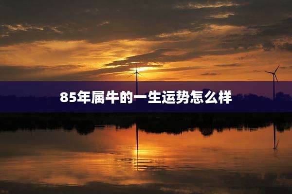 85年属牛的一生运势怎么样