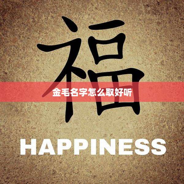 金毛名字怎么取好听