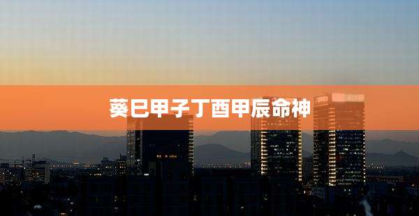 葵巳甲子丁酉甲辰命神