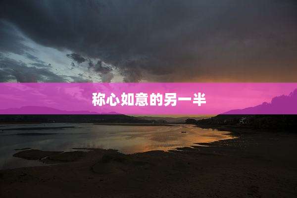 称心如意的另一半