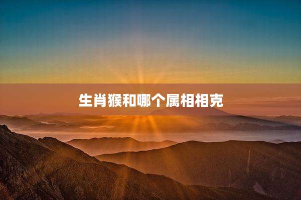 生肖猴和哪个属相相克