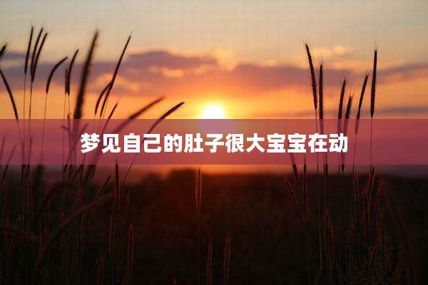 梦见自己的肚子很大宝宝在动