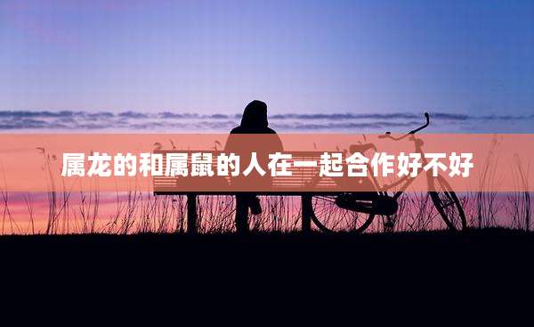 属龙的和属鼠的人在一起合作好不好
