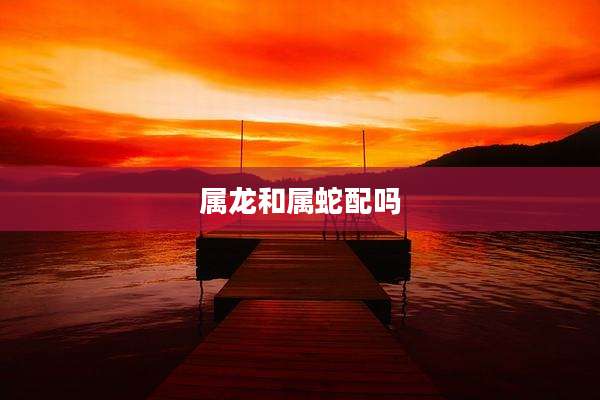 属龙和属蛇配吗
