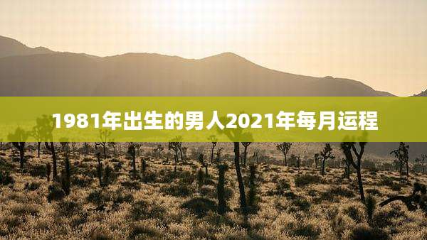1981年出生的男人2021年每月运程