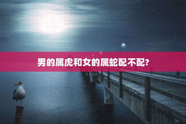 男的属虎和女的属蛇配不配?