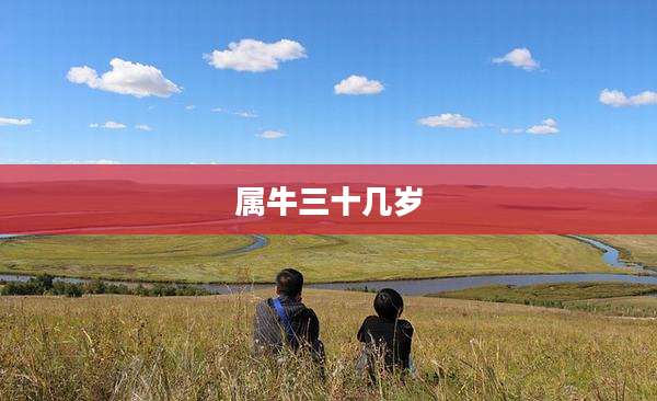 属牛三十几岁