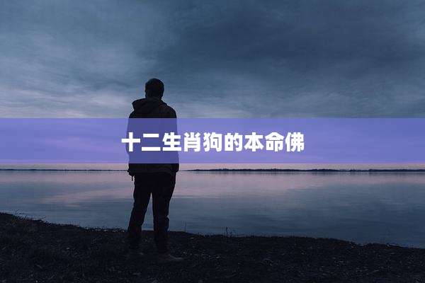 十二生肖狗的本命佛