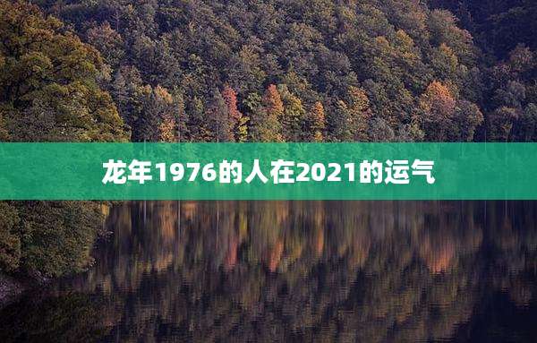 龙年1976的人在2021的运气