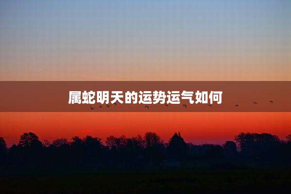 属蛇明天的运势运气如何