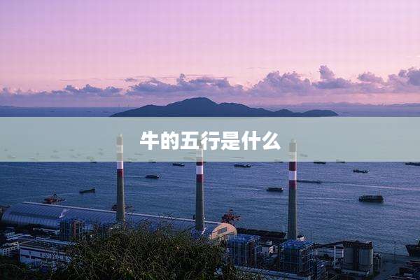 牛的五行是什么