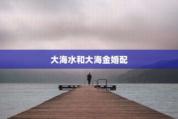 大海水和大海金婚配