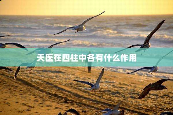 天医在四柱中各有什么作用