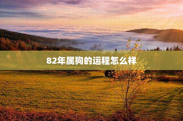 82年属狗的运程怎么样
