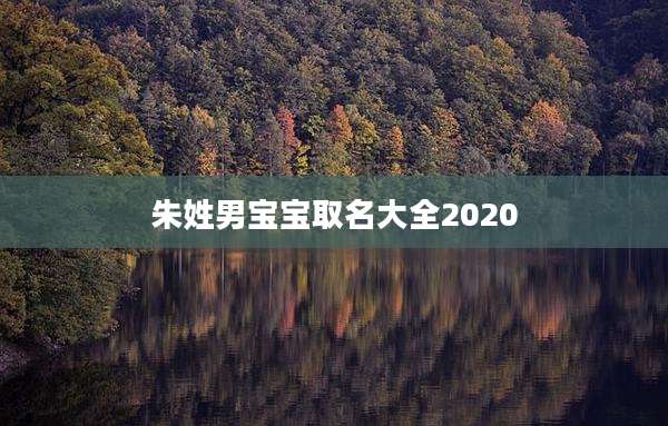朱姓男宝宝取名大全2020