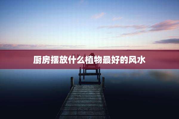 厨房摆放什么植物最好的风水
