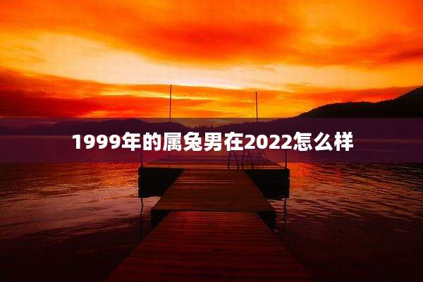1999年的属兔男在2022怎么样