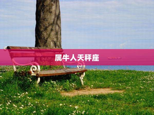 属牛人天秤座