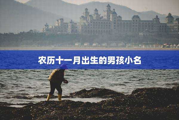 农历十一月出生的男孩小名