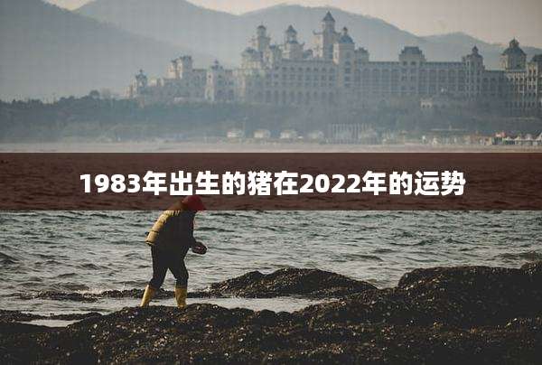 1983年出生的猪在2022年的运势