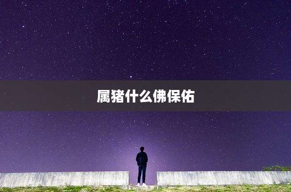 属猪什么佛保佑