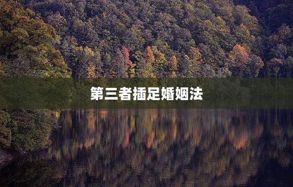 第三者插足婚姻法