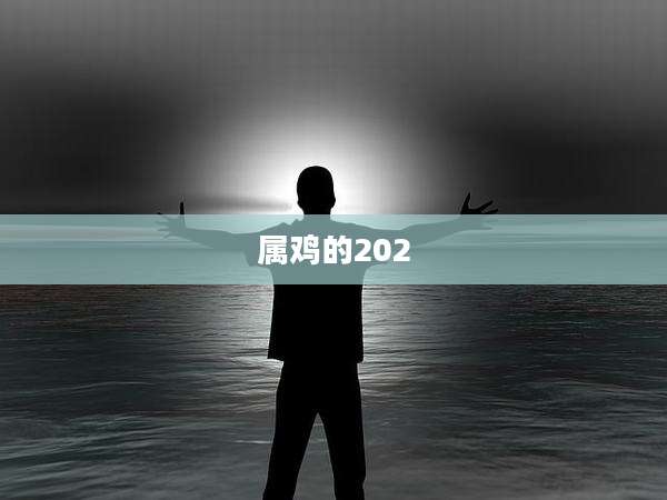 属鸡的202