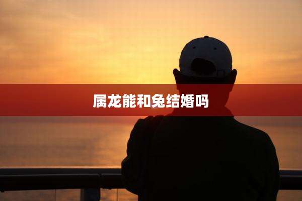 属龙能和兔结婚吗