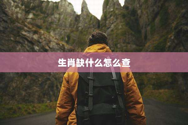 生肖缺什么怎么查