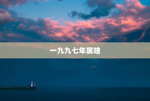 一九九七年属啥