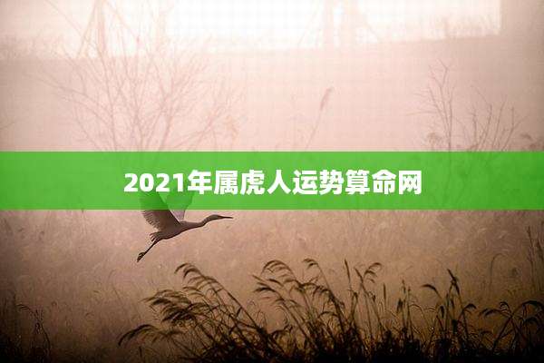 2021年属虎人运势算命网