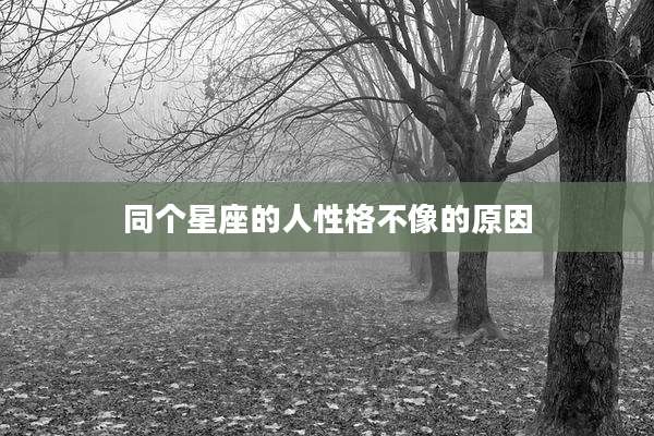同个星座的人性格不像的原因