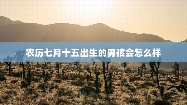 农历七月十五出生的男孩会怎么样