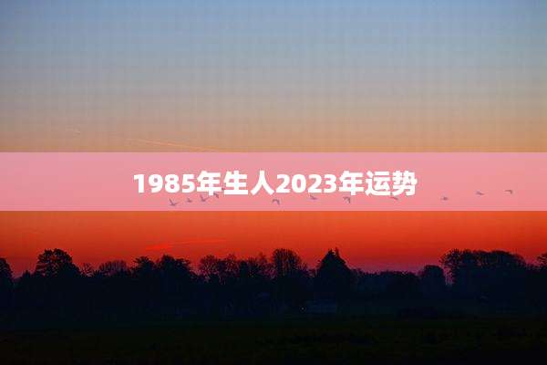 1985年生人2023年运势
