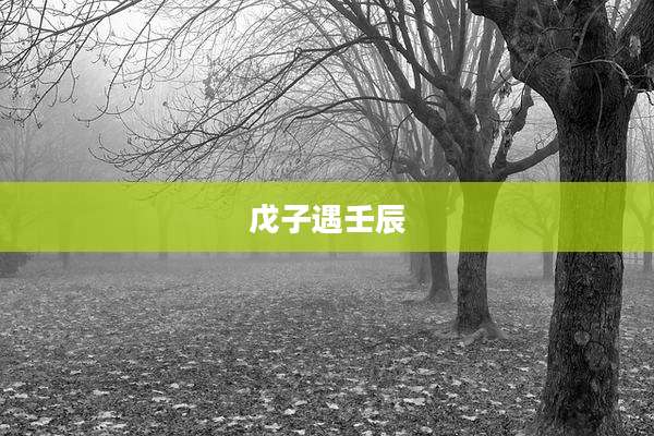 戊子遇壬辰