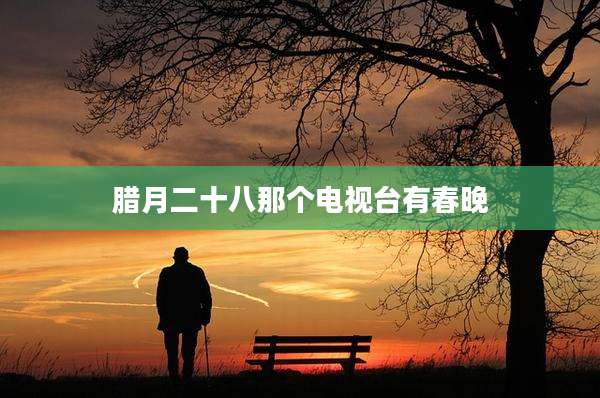 腊月二十八那个电视台有春晚