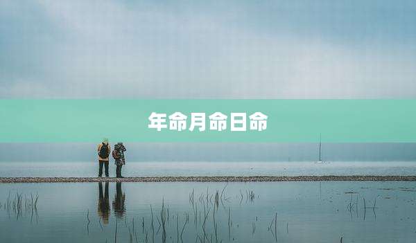 年命月命日命