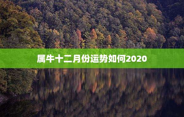 属牛十二月份运势如何2020