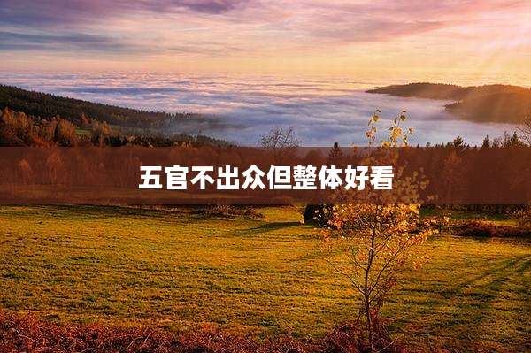 五官不出众但整体好看
