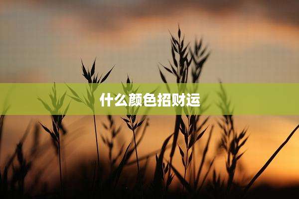 什么颜色招财运