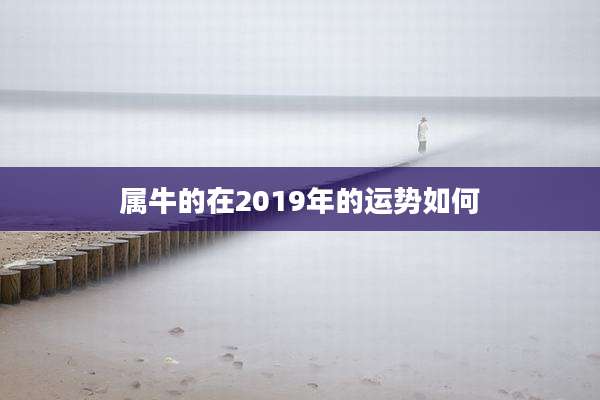 属牛的在2019年的运势如何