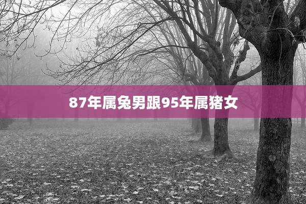 87年属兔男跟95年属猪女