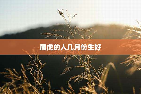 属虎的人几月份生好